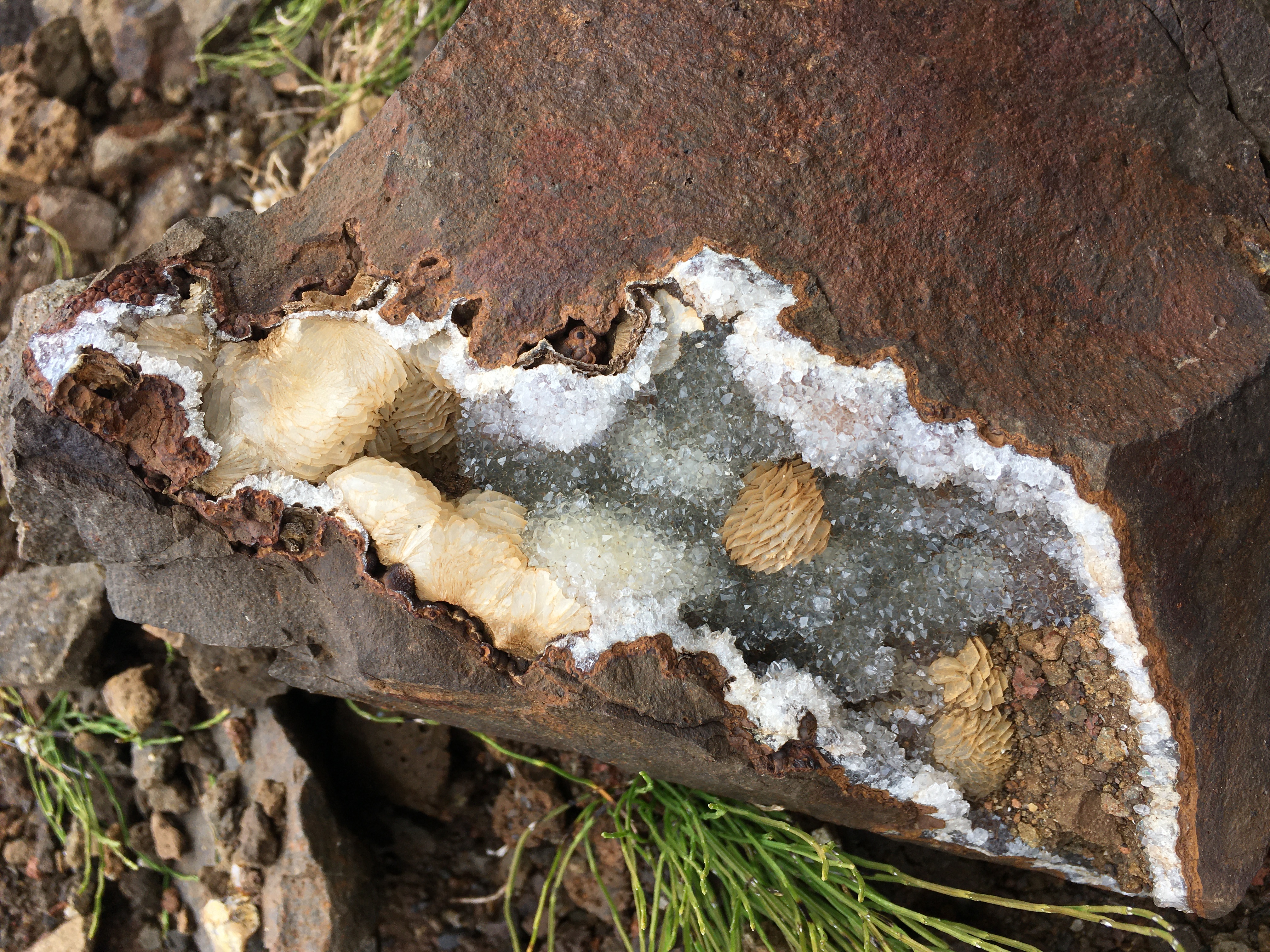 Photograph of what looks like crystals growing inside a rock